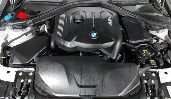 BMW SERIE 3 2017 (38.000KM) LISTO PARA ENTREGAR - Image 5
